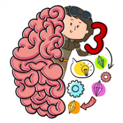 Brain Test